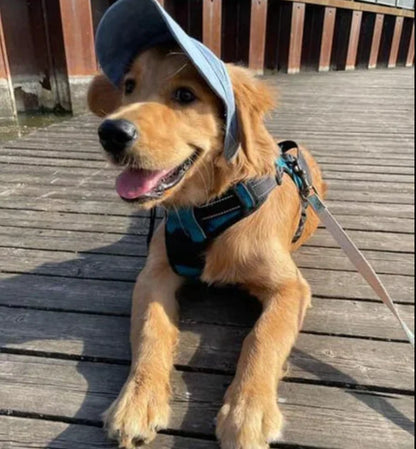 Doggo Hat