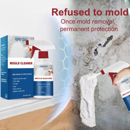 Mildew Cleaner Foam